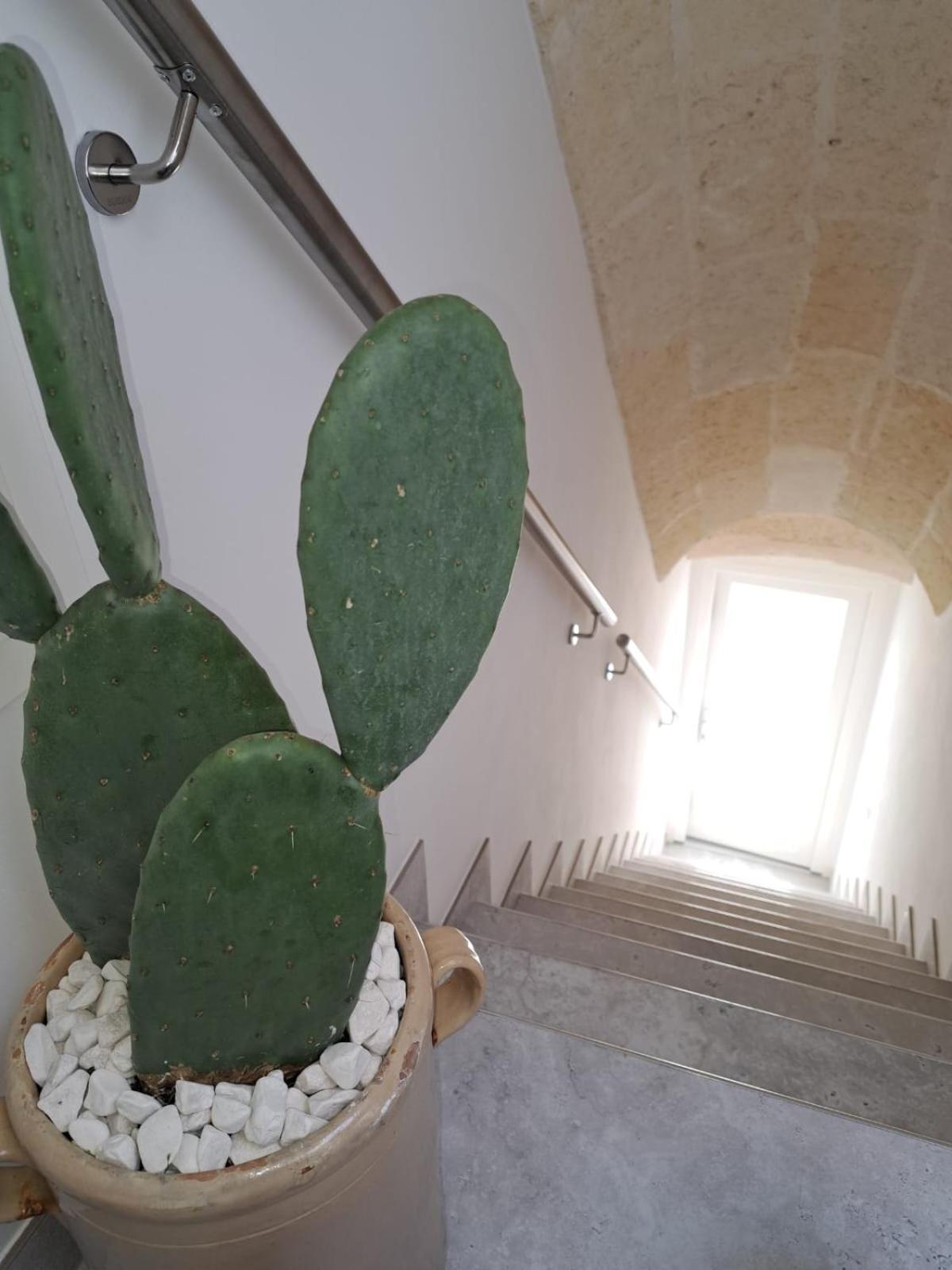Mae Apulian Rooms Grottaglie Exteriér fotografie